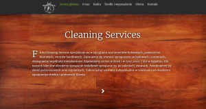 cleaning services